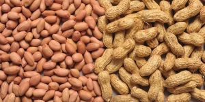 Natural Groundnuts
