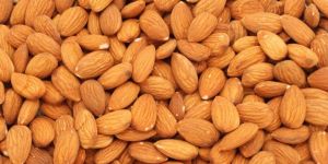 Raw Almond Kernels