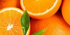 Fresh Orange
