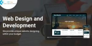 Website Development Services