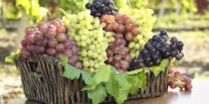 Fresh Grapes