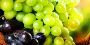 Grapes
