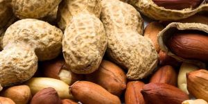 Ground Nut