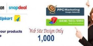 Freelancer Digital Marketing Services