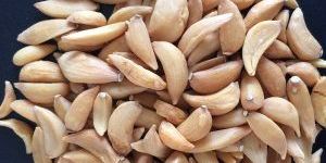 Dehydrated Garlic Cloves