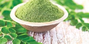 Moringa Powder