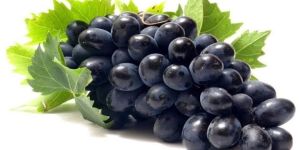 Fresh Black Grapes