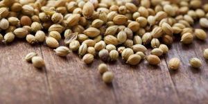 Coriander Seeds
