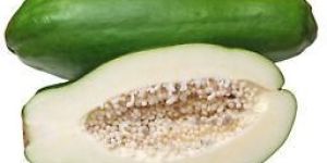 Fresh Green Papaya