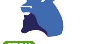 Online Coaching Services