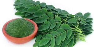 Moringa Leaves