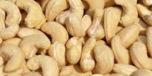 Cashew Nut