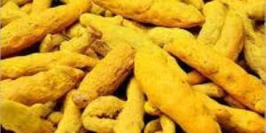 Turmeric Finger -Double Polished