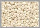 Hulled White Sesame Seed