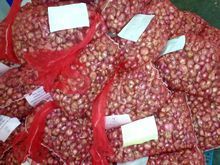 SMALL ONION/SHALLOTS