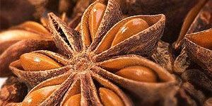 Star Anise Oil