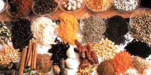 Indian Spices