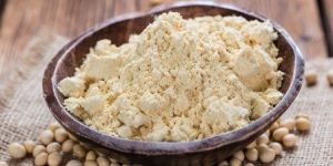 Organic Full Fat Soya Flour