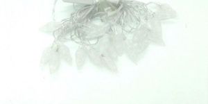 3 Meter 20 Bulb Straberry LED String