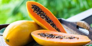 Carica Papaya