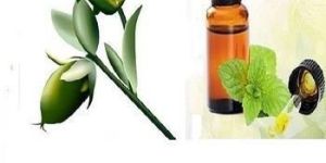 Jojoba Oil