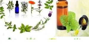 Wheat Germ Oil