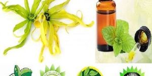 Ylang Oil