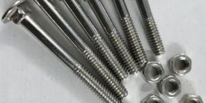 Stainless Steel Carriage Bolt