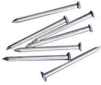 Stainless Steel Wire Nail