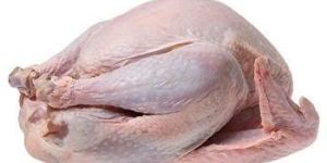 Frozen Turkey Meat