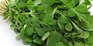 Fenugreek Leaves