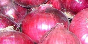 Fresh Red Onion