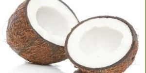 Matured Coconut