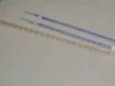 Disposable Esr Pipette