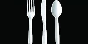 Disposable Plastic Cutlery