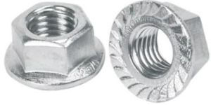 Stainless Steel Flange Nuts