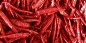 Dry Red Chilli