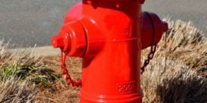Fire Hydrant