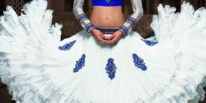 Net Lehenga Choli
