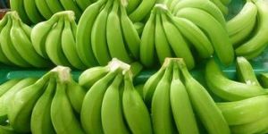 Fresh Bananas