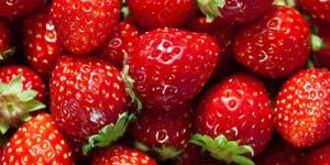 Frozen Strawberry