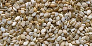 Sesame Seed Natural