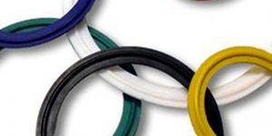 Tri-Clover Ptfe Gasket