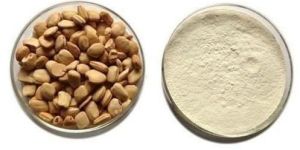 Tamarind Seed Powder