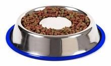 Dog Bowls