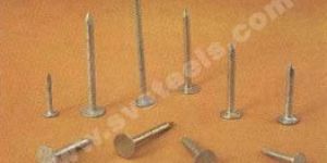 Galvanized Nail
