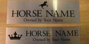Stainless Steel Door Name Plates