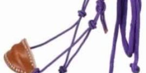Bronc Halter