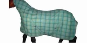 Horse Blanket