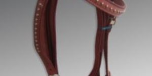 Horse Headstall